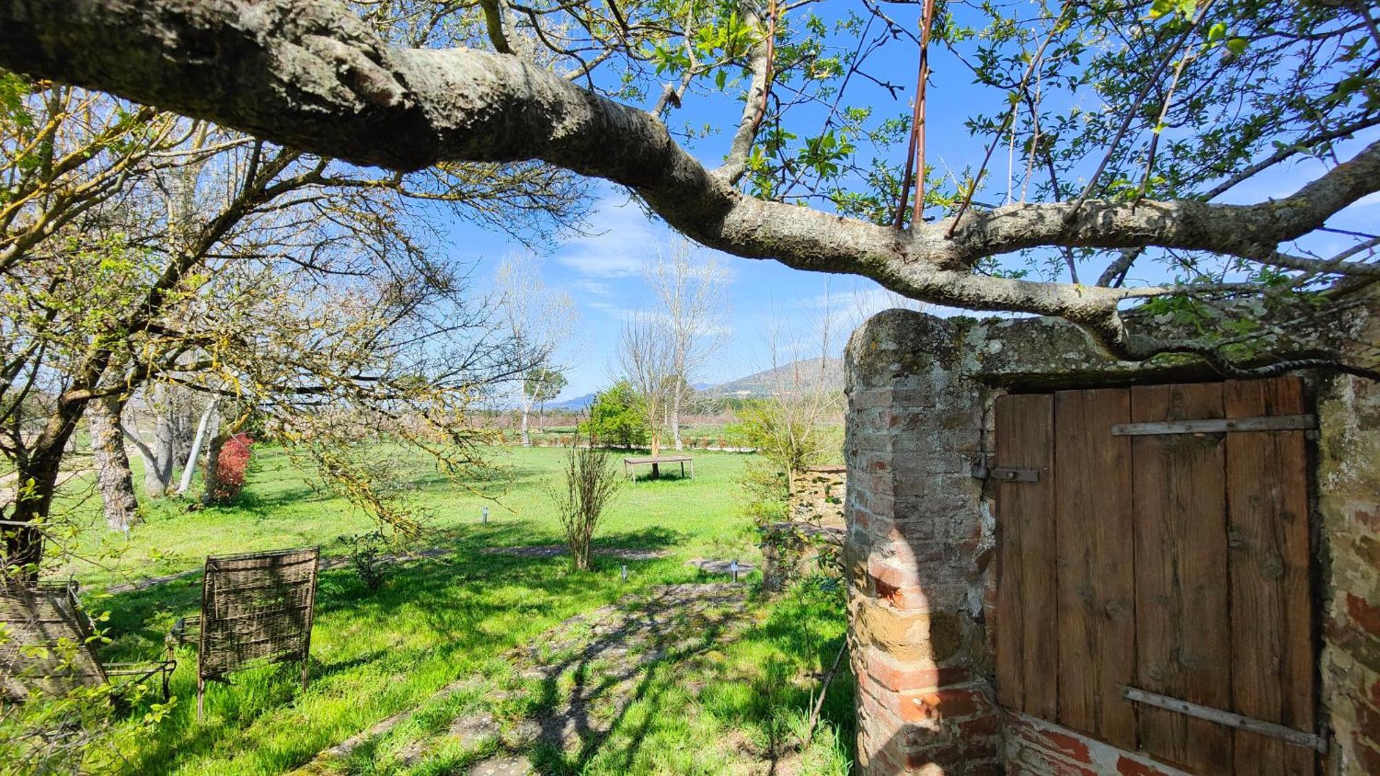 Casale Alcinoo - Rustico Villa Tuoro sul Trasimeno Esterno foto