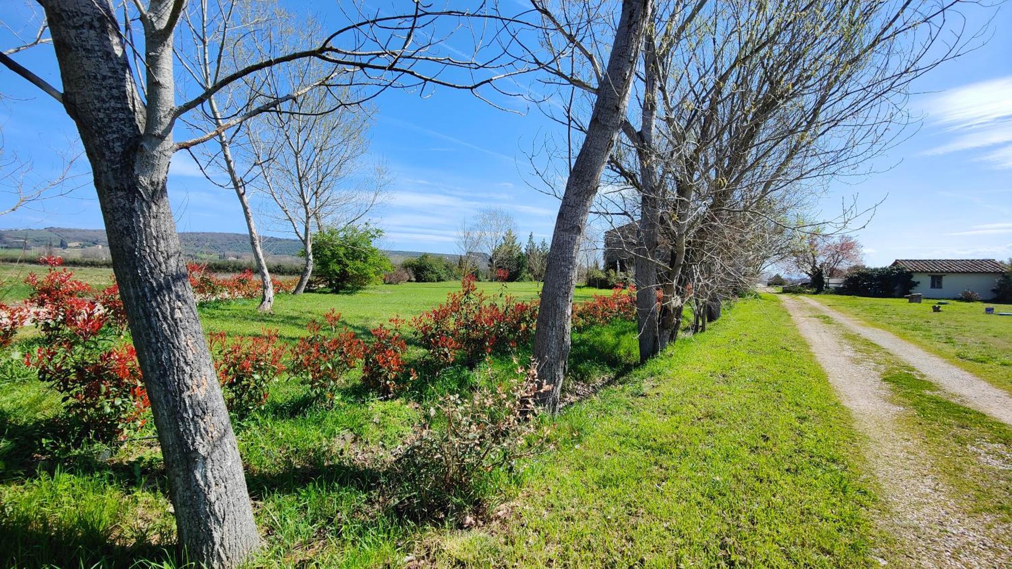 Casale Alcinoo - Rustico Villa Tuoro sul Trasimeno Esterno foto